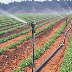 重庆大田滴灌设备厂家介绍农田灌溉方法
