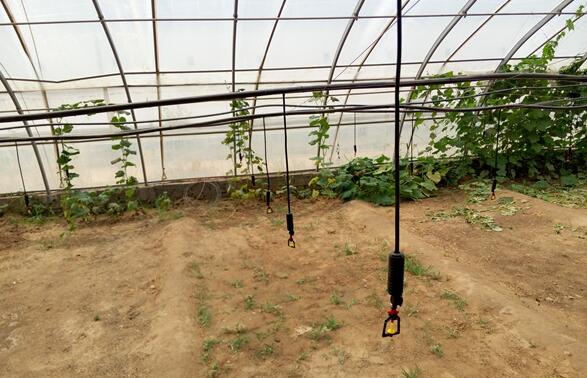 温室大棚微重庆喷灌技术-大棚蔬菜灌溉设备